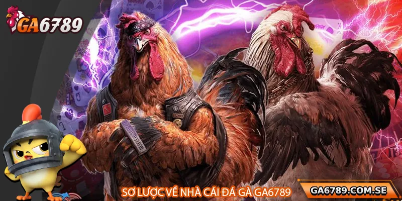 Khám Phá Bí Quyết Nuôi Gà 6789 - Cách Làm Thịt Ngon Hơn